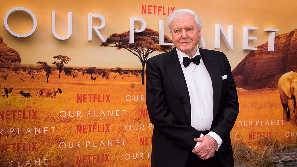 Un siècle de changement : la planète Terre à travers les yeux de David Attenborough alors que le trésor mondial fête ses 100 ans