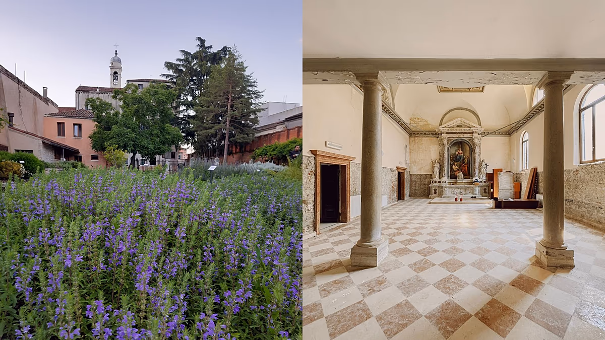 Oasis, prières sonores et réconfort : la Biennale de Venise 2026 invite les visiteurs à ralentir