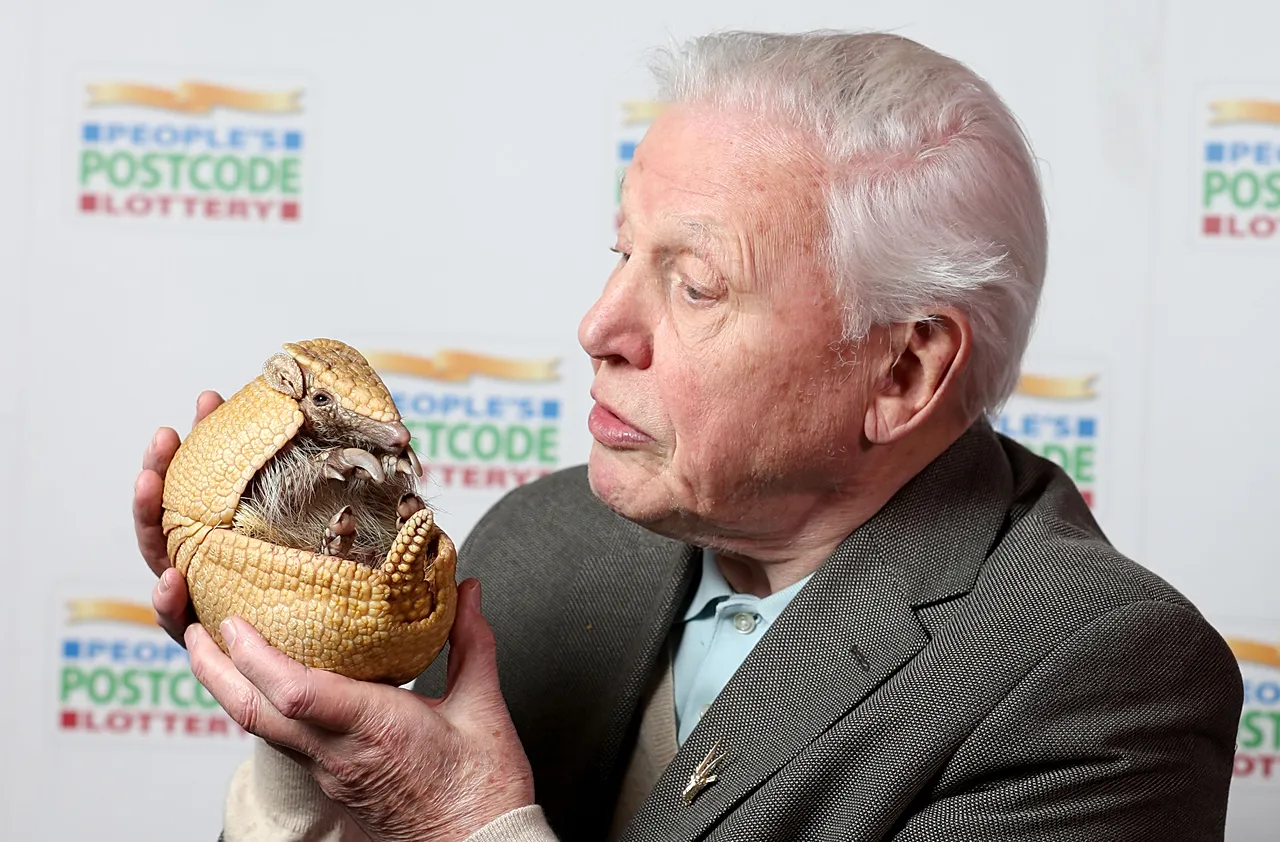 David Attenborough tient Inti le tatou au zoo d'Édimbourg, le 24 janvier 2017.