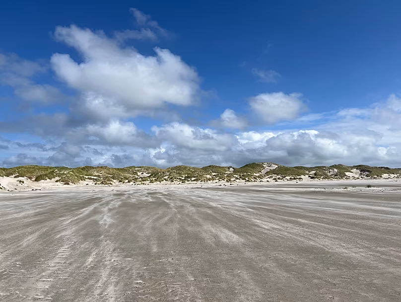À Kniepsand, il peut y avoir plus de mille mètres de sable entre les dunes et le bord de l'eau.
