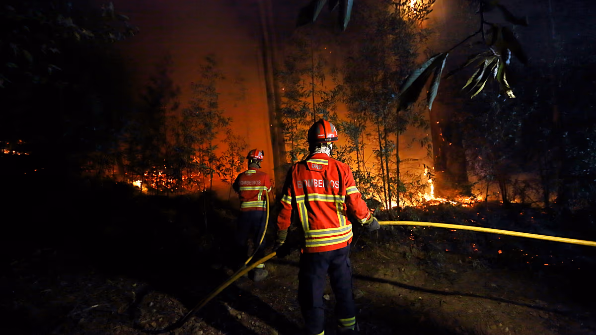 Dans le cadre de l'immense opération menée au Portugal pour lutter contre les incendies de forêt avec des Black Hawks, des bulldozers et des pompiers