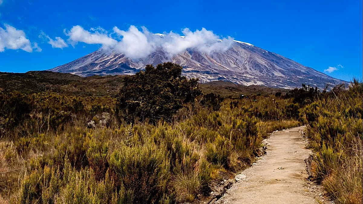 Envie de gravir la plus haute montagne d'Afrique ? Se rendre au Kilimandjaro depuis l’Europe est sur le point de devenir plus facile