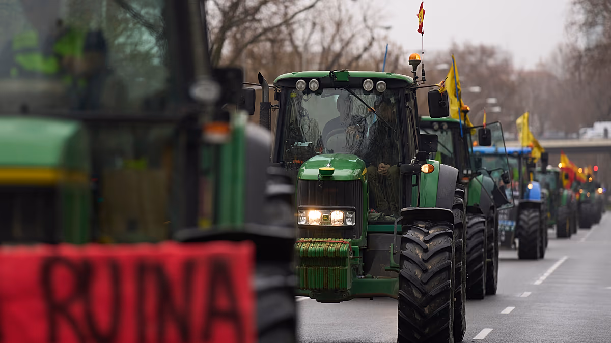 L'UE va interdire les importations de viande brésilienne à partir de septembre