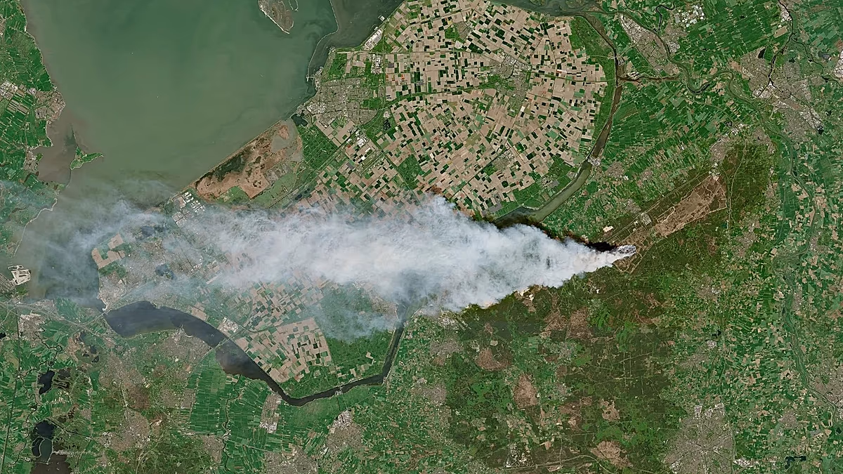 La France et l'Allemagne envoient des pompiers pour lutter contre les incendies de forêt aux Pays-Bas