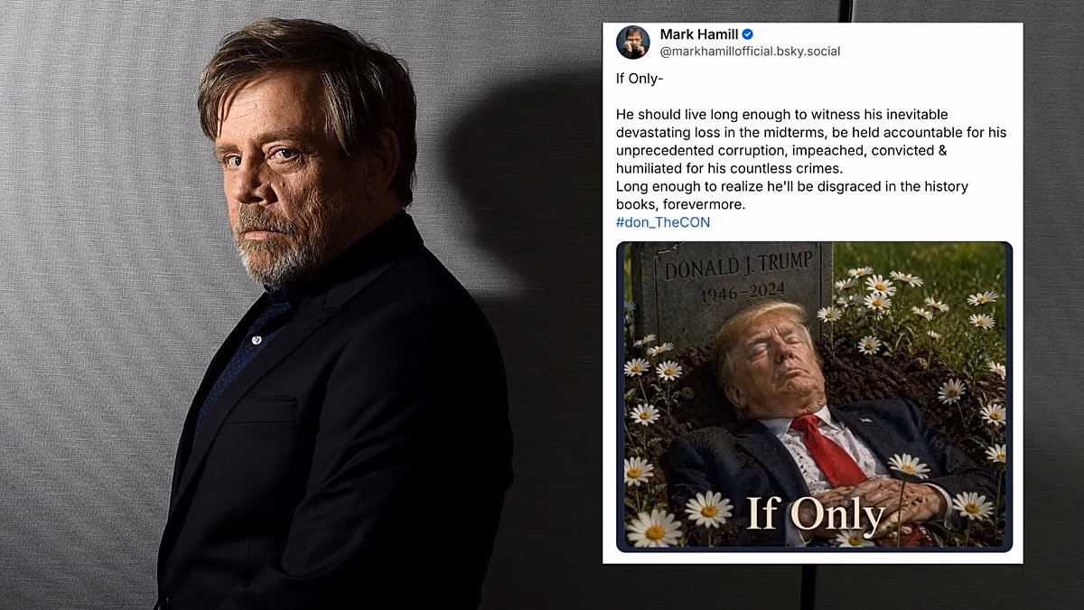 La Maison Blanche s'en prend à l'acteur "malade" de Star Wars, Mark Hamill, pour la publication par l'IA de la mort de Donald Trump