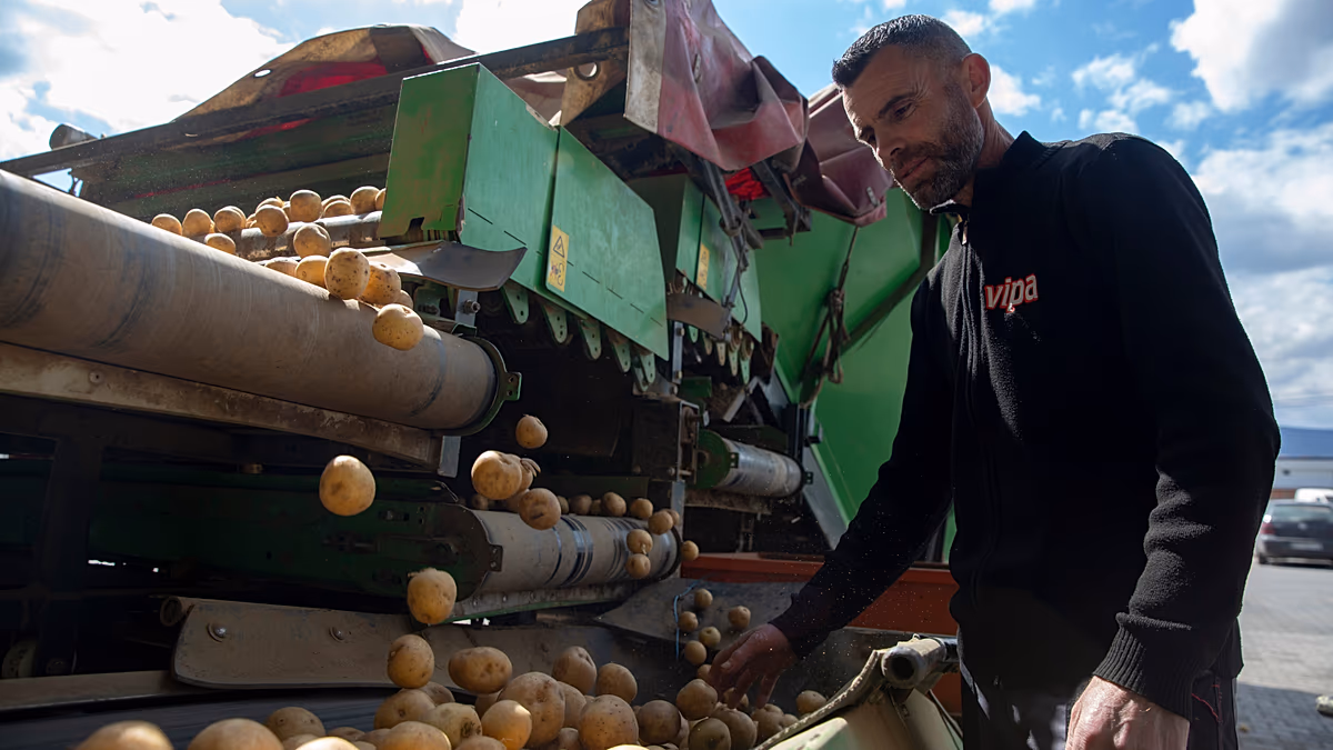 Les prix à terme des pommes de terre s'envolent de 700 % en moins d'un mois suite aux spéculations sur la guerre en Iran