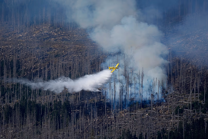 Un avion largue de l'eau sur un incendie dans les montagnes du Harz, sous le pic du Brocken, à environ 30 km à l'ouest de Wernigerode, dans le nord de l'Allemagne, près de Schierke, en Allemagne, le 7 septembre 2024.
