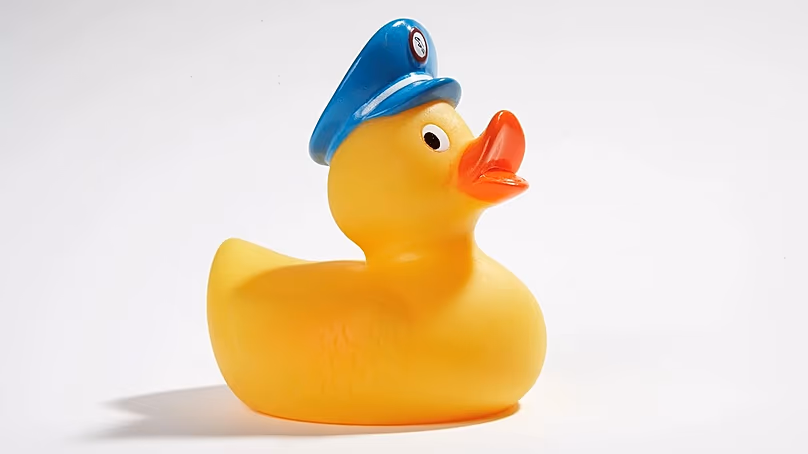 Il existe des dizaines de canards que les clients de première classe peuvent collectionner, et ils se rapportent à un joli centime sur le marché de l'occasion.