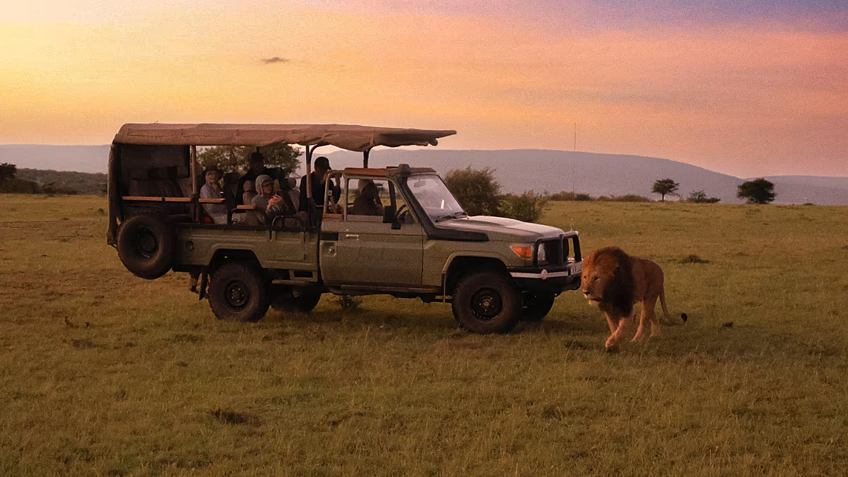 Les nouveaux lodges de safari les plus en vogue d'Afrique redéfinissent le voyage de luxe en pleine nature