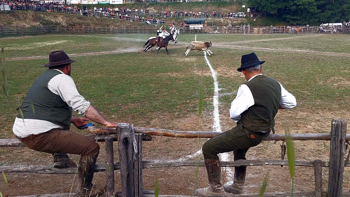 Cowboys de la Latium Maremme : tradition et innovation au Riarto de Canale Monterano
