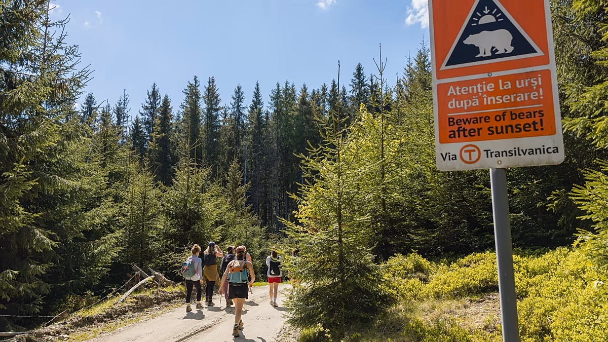 Oubliez le Camino de Santiago. Le sentier de randonnée Via Transilvanica en Roumanie est sauvage, accueillant et calme