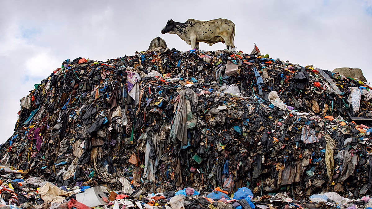 Les enquêteurs de l'UE saisissent 4 200 tonnes de déchets textiles illégalement expédiés vers la Turquie depuis l'Italie