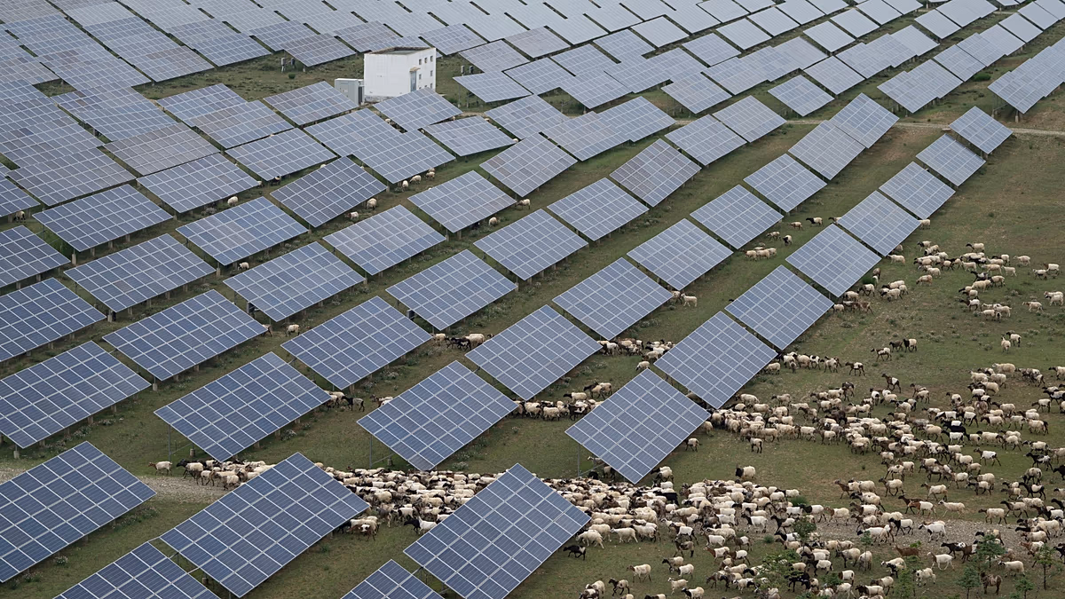 Les subventions de l'État chinois sont jusqu'à huit fois supérieures à celles de l'OCDE, selon un rapport