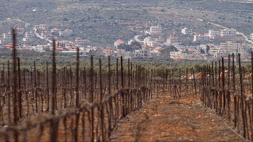 Un vignoble dans l’implantation juive de Shilo, en Cisjordanie, près de Naplouse. (Photo AP/Dan Balilty)