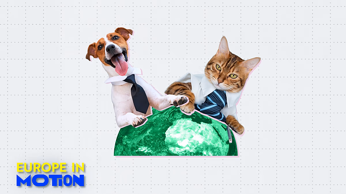 Chiens et chats au travail : oui ou non ? Voici les pays d'Europe les plus acceptant les animaux de compagnie