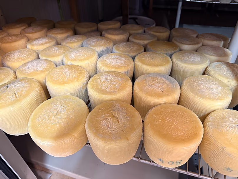 Fromages d'Andros