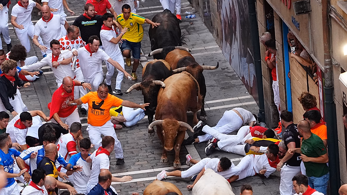 Près de 60 personnes encornées ou meurtries lors des célèbres courses de taureaux de San Fermín en Espagne