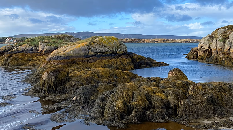 La voie sauvage de l'Atlantique en Irlande