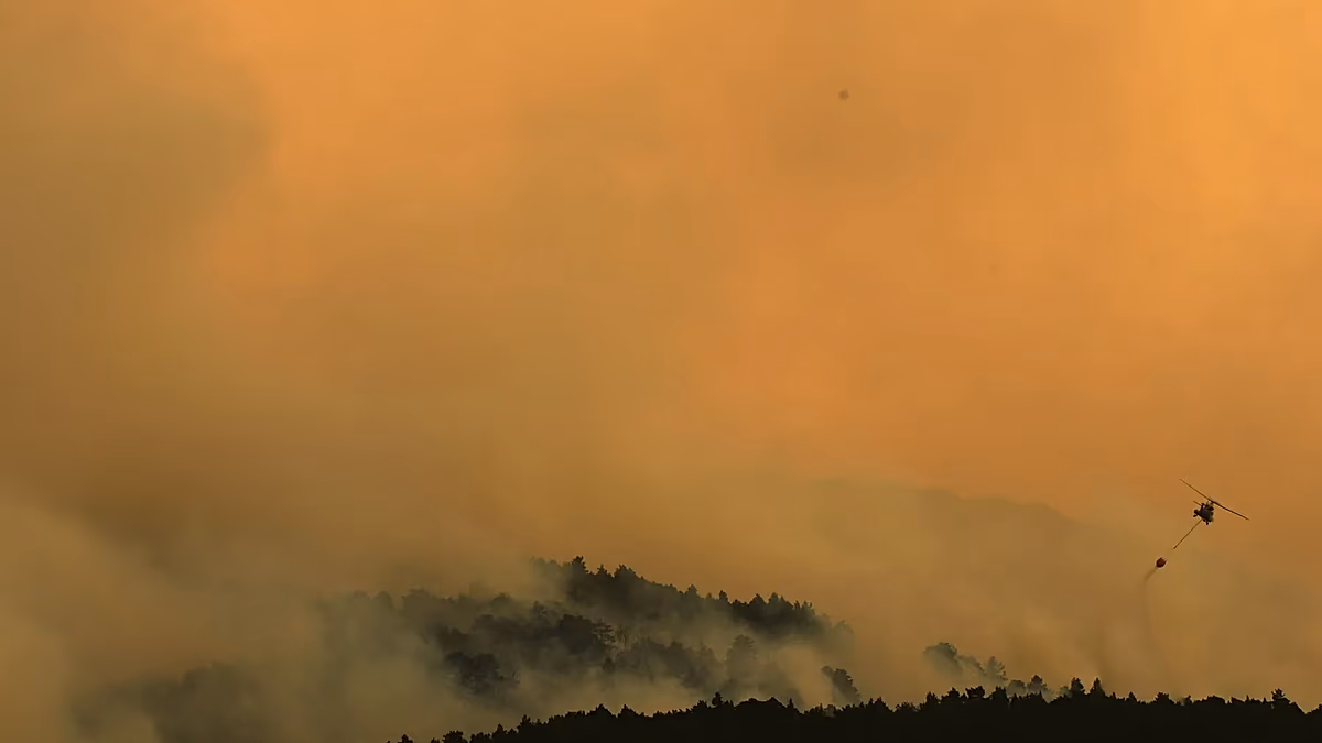 Les incendies de forêt font rage dans certaines régions de France, d'Espagne et d'Italie.