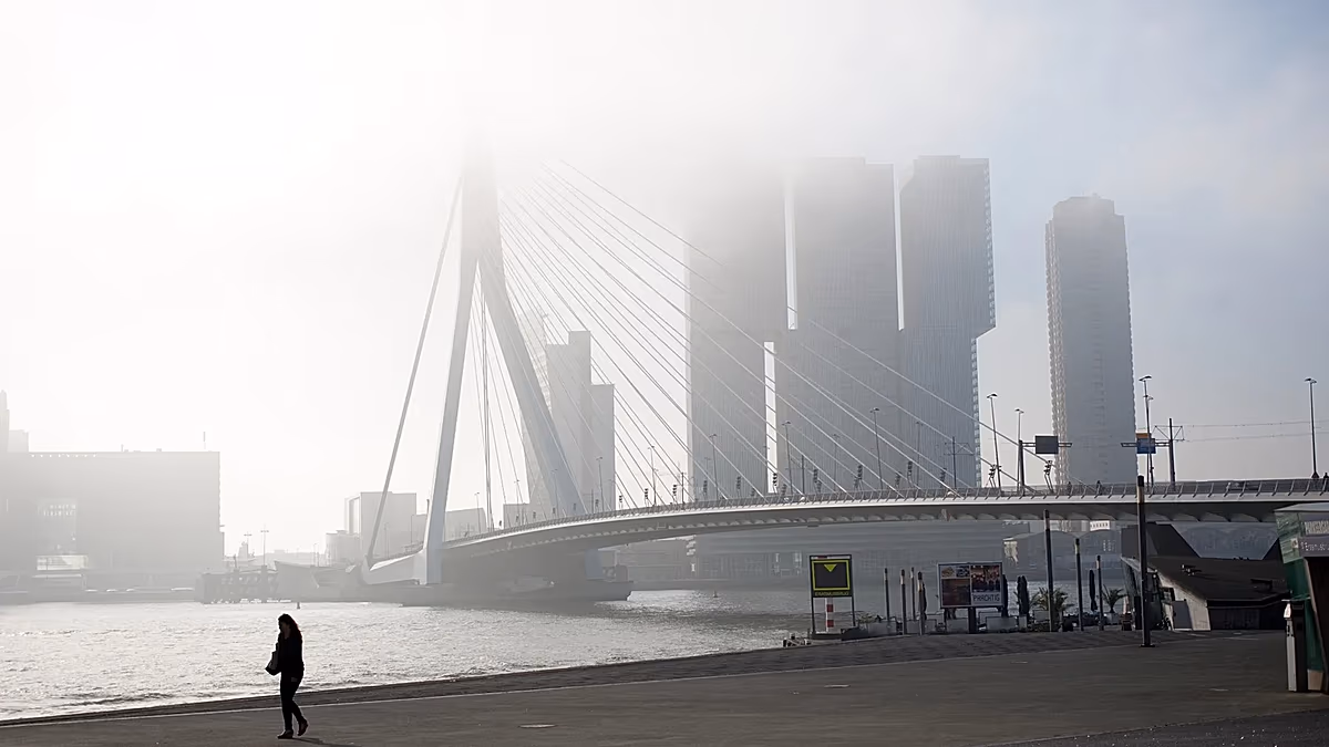 Deux tramways entrent en collision sur le pont Erasmus de Rotterdam, faisant 15 blessés