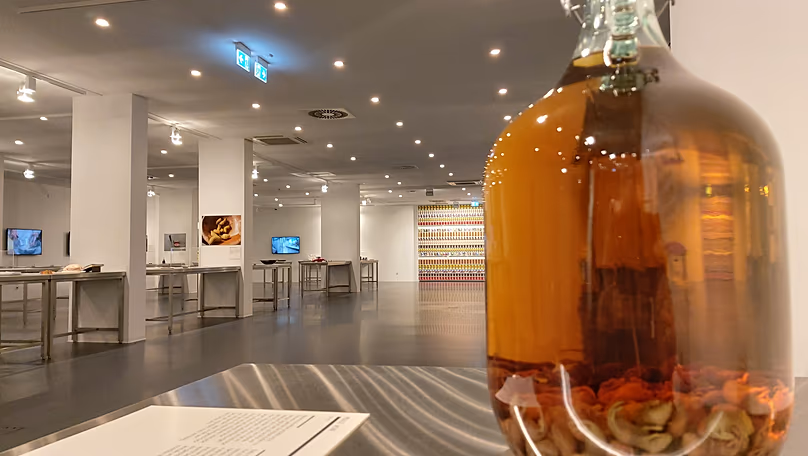 Un lieu pour les touristes à l'estomac solide : le Disgusting Food Museum présente plus de 90 délices dégoûtants.