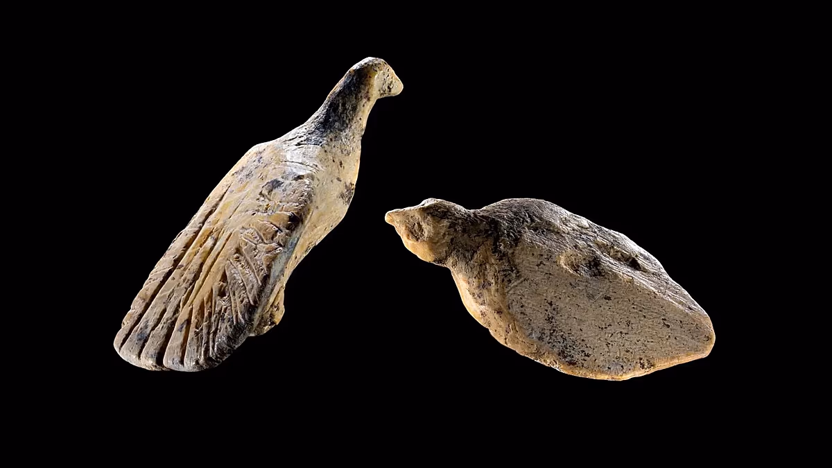 Découverte dans une grotte allemande : découverte de figures d'oiseaux en ivoire de mammouth vieilles de 40 000 ans