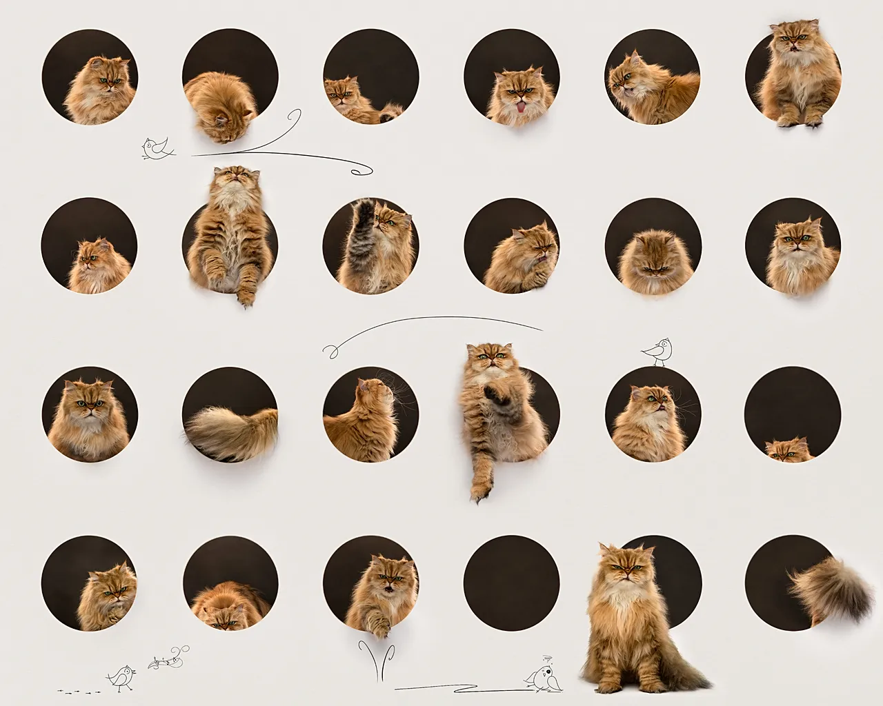 La mosaïque du chat Moosha de Belinda Richards a remporté la catégorie Portrait félin