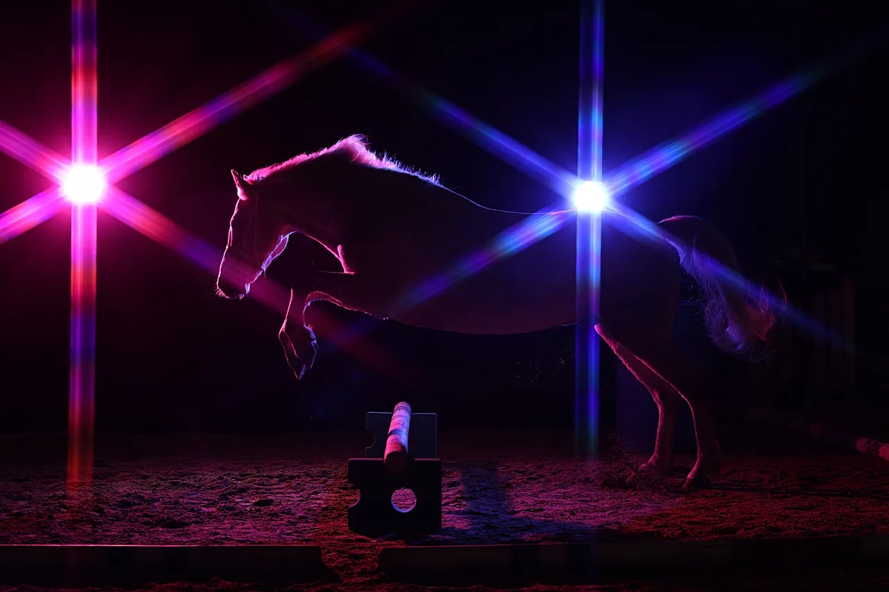 Le prix In-Camera Artistry a été décerné à l'Allemande Andrea Zachrau