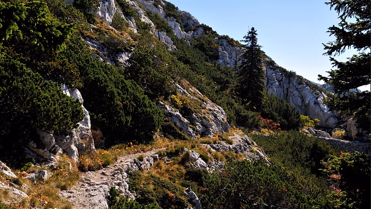 Sentiers sinueux et randonnées côtières : trois des meilleures randonnées d'automne d'Europe, selon Lonely Planet