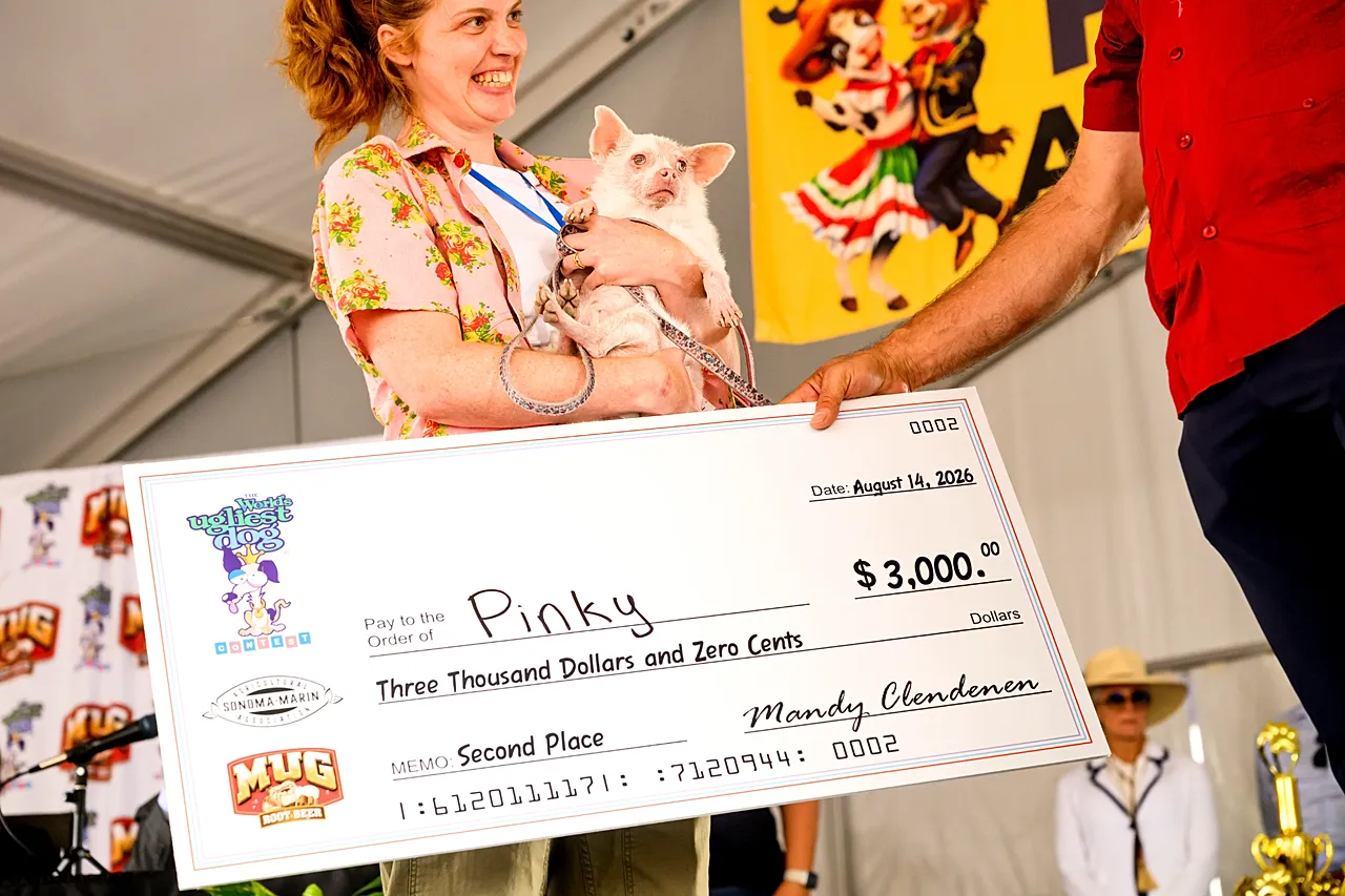 Pinky, un mélange albinos de Poméranie et de Chihuahua, célèbre sa deuxième place au concours du chien le plus laid du monde à la foire du comté de Sonoma à Santa Rosa, en Californie, le vendredi 1er août.