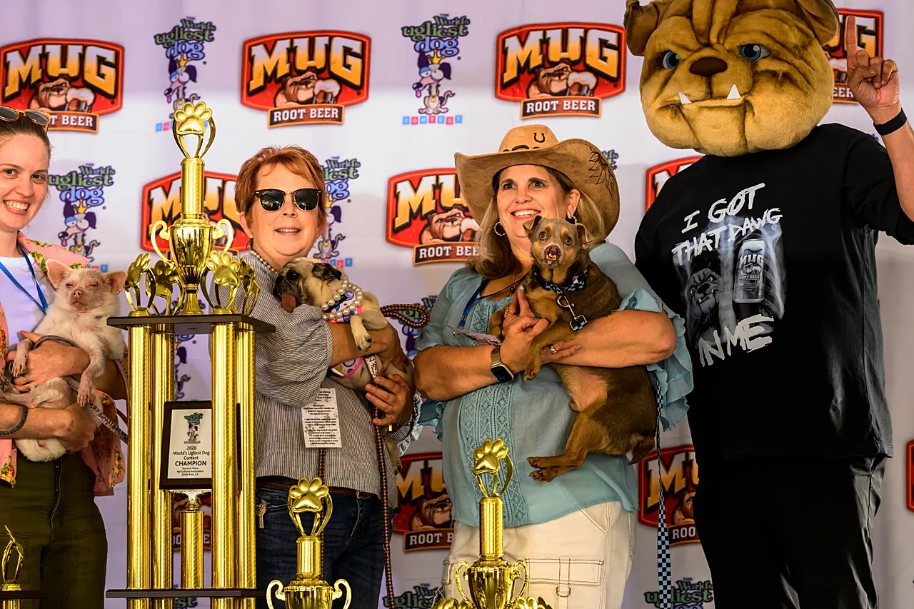 Les gagnants présentent leurs trophées lors du concours du chien le plus laid du monde à la foire du comté de Sonoma à Santa Rosa, en Californie, le vendredi 14 août 2026.