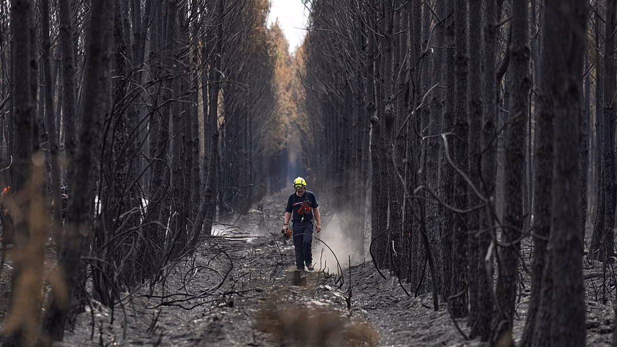 De quels outils l’UE dispose-t-elle pour lutter contre les incendies de forêt ? Sont-ils suffisants ?