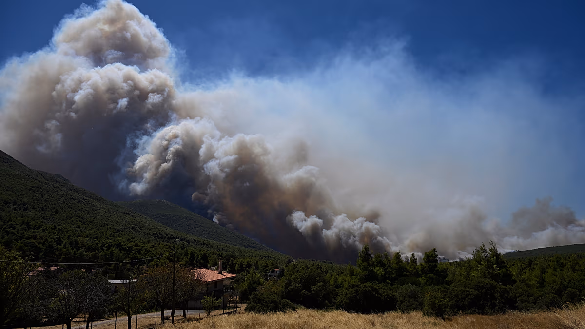 Incendies de forêt en Europe : les incendies continuent de se propager en France et en Grèce