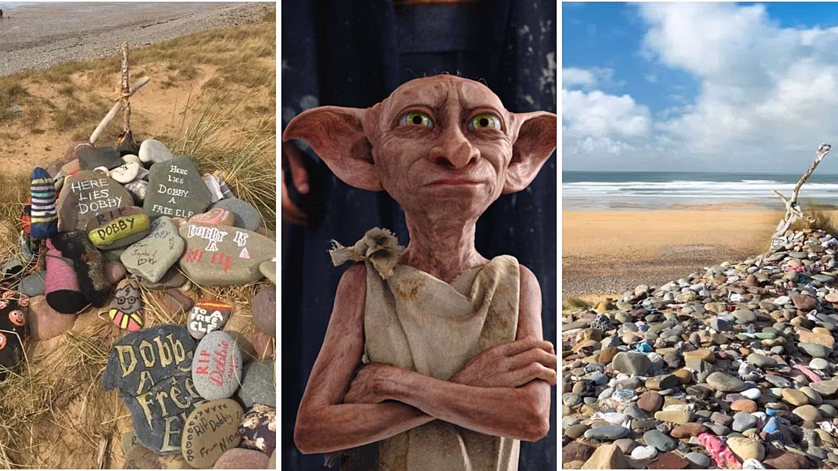 Les fans d'Harry Potter forcent le détournement par câble d'un projet de pipeline de plusieurs millions de dollars pour protéger la « tombe » de Dobby