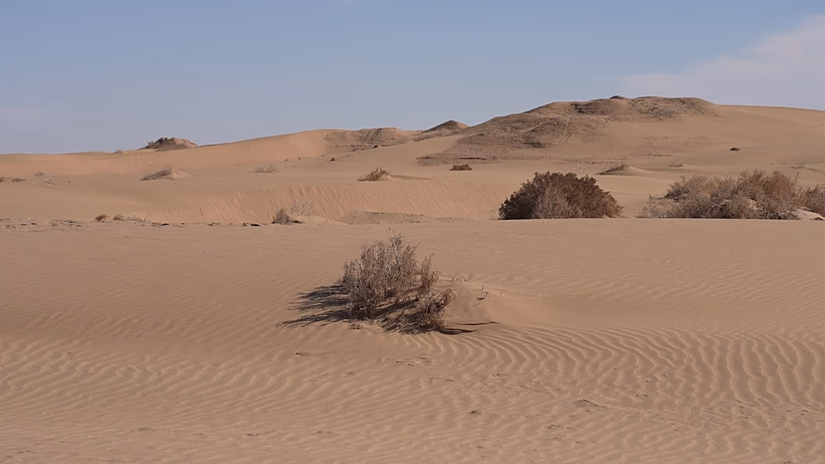 Les secrets du désert : à la découverte des paysages anciens et des traditions vivantes de l'Ouzbékistan