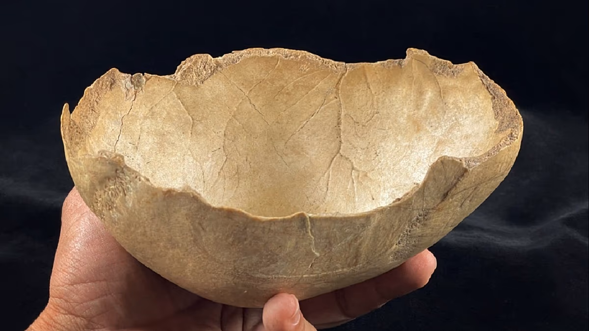 Un massacre et un cannibalisme possibles il y a 7 000 ans découverts à Grenade