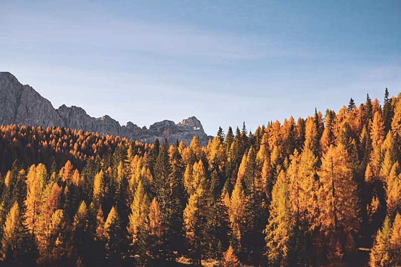 Les Dolomites sont particulièrement belles en automne grâce à une multitude de mélèzes qui deviennent dorés au fil de la saison.