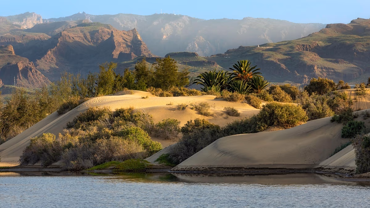 Gran Canaria : comment une île de l'Atlantique renforce son attrait tout au long de l'année Contenu partenaire présenté par Turismo Gran Canaria