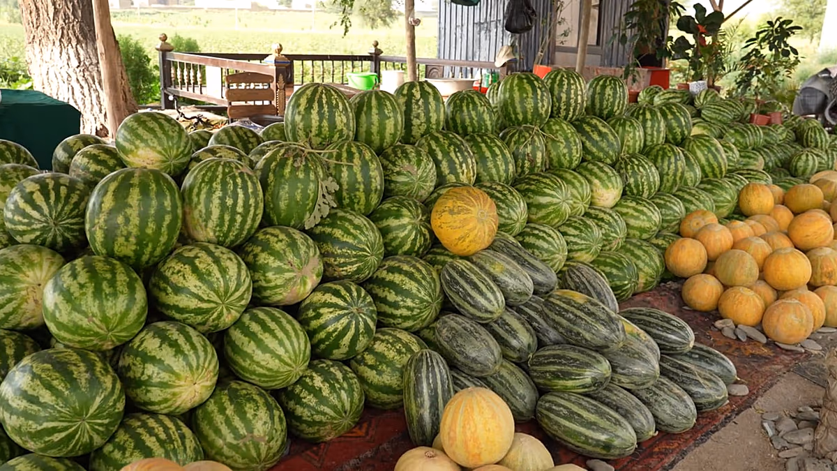 De la terre à la table : suivre les récoltes saisonnières de l'Ouzbékistan
