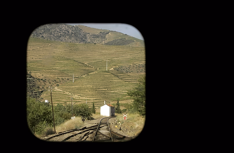 Les vignobles sur les pentes de la vallée du Douro vus à travers la fenêtre d'un train en direction de Porto depuis le village de Pocinho