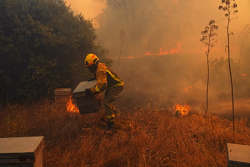 DÉPOSER. Un pompier éloigne les ruches des flammes tout en luttant contre un incendie de forêt à San Martin de Valdeiglesias, à l'ouest de Madrid, Espagne, le 26 juillet 2026.