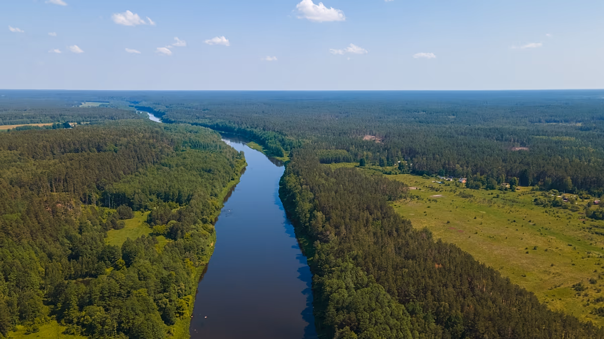 Un Russe nage de Kaliningrad vers la Lituanie dans une tentative d'asile ratée