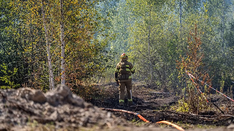 Les pompiers ont réussi à éteindre le feu de forêt, mais pas le feu qui couvait sous terre.