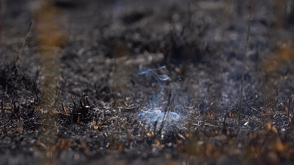 Incendie souterrain : l'incendie d'une mine de lignite allemande ne peut pas être éteint