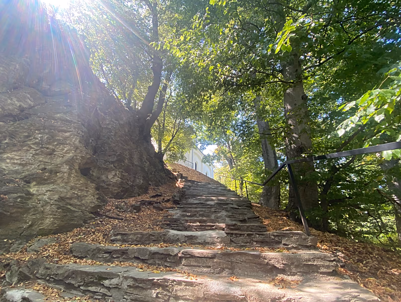 Sentier de randonnée près des terrasses celtiques dans la forêt de Velem, Hongrie