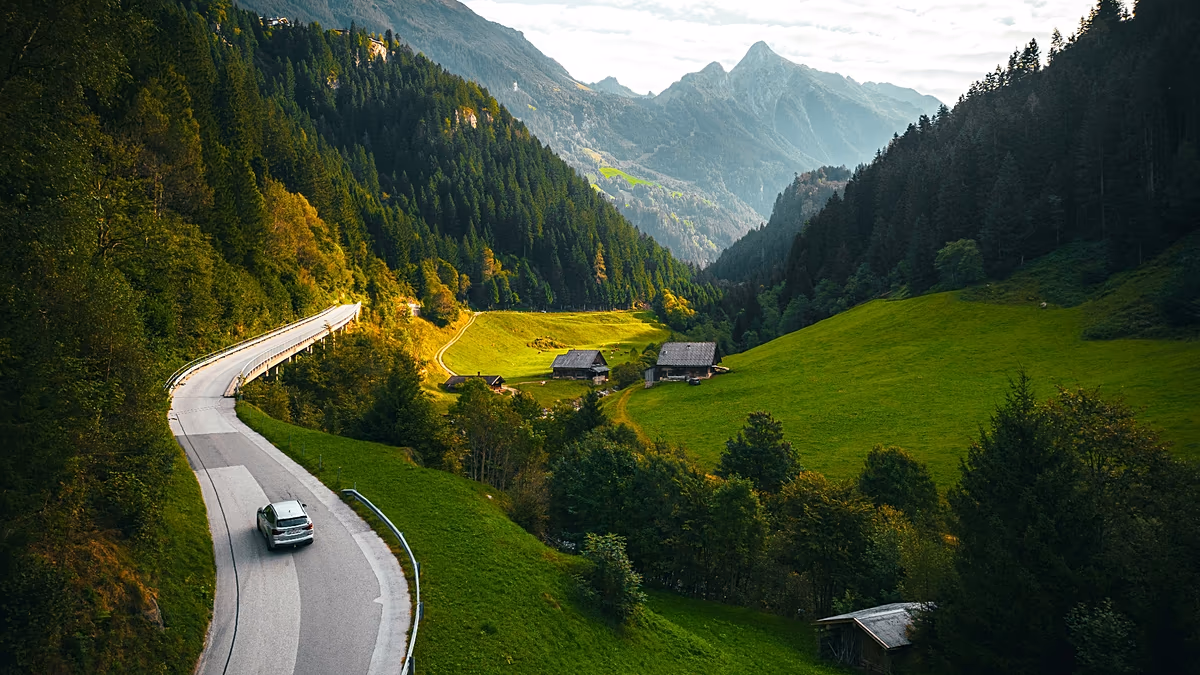 Les meilleurs road trips pour observer la faune sauvage la plus impressionnante d'Europe