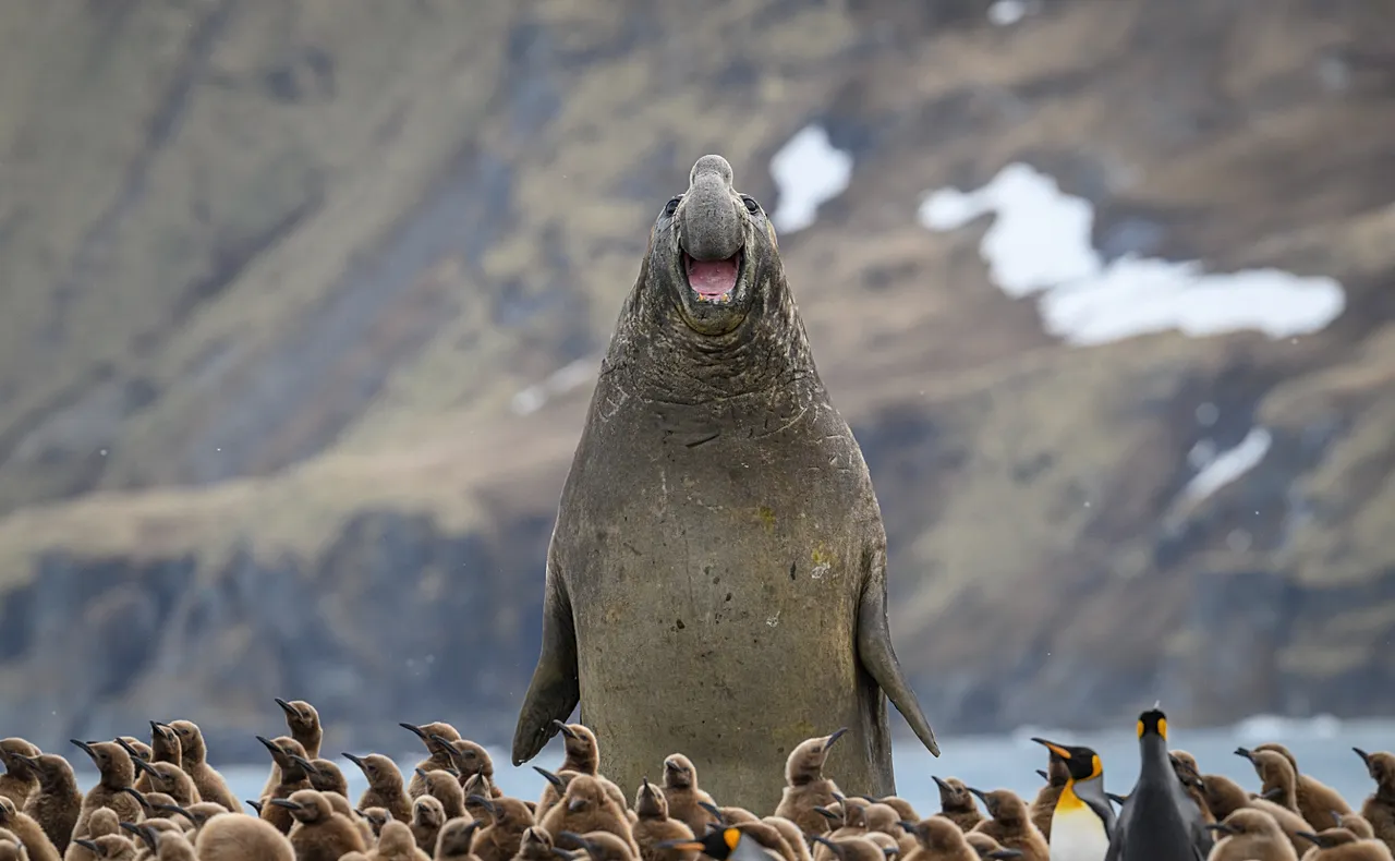 « Sourire » par MarekJackowski