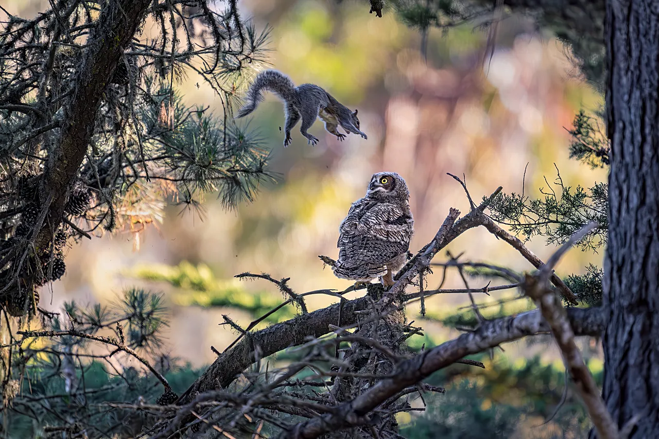 Vous plaisantez j'espère? par Kevin_Lohman
