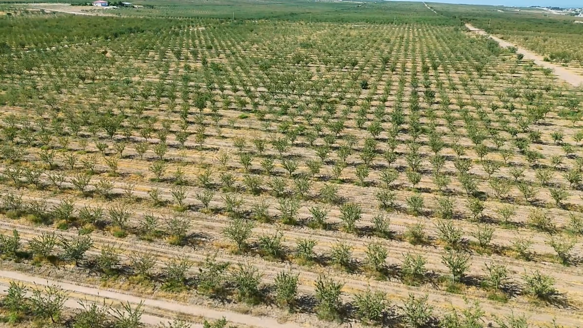 La pénurie d’eau et les importations coûteuses menacent la sécurité alimentaire dans les pays enclavés