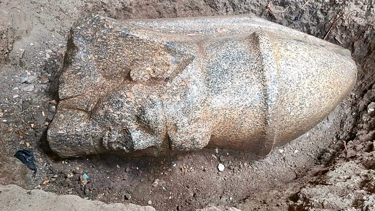 Un producteur égyptien de concombres aide les archéologues à trouver des fragments géants de la statue de Ramsès II